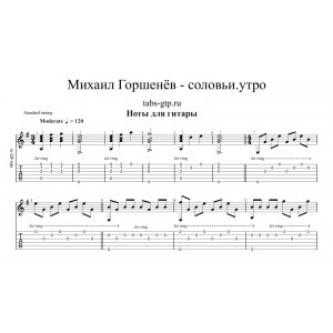 Соловьи. Утро - Горшок|Михаил Горшенёв