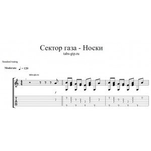 Носки - Сектор газа 