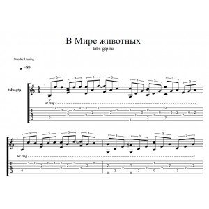 В мире животных
