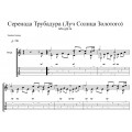 Серенада Трубадура (Луч солнца золотого) из мультика бременские музыканты 